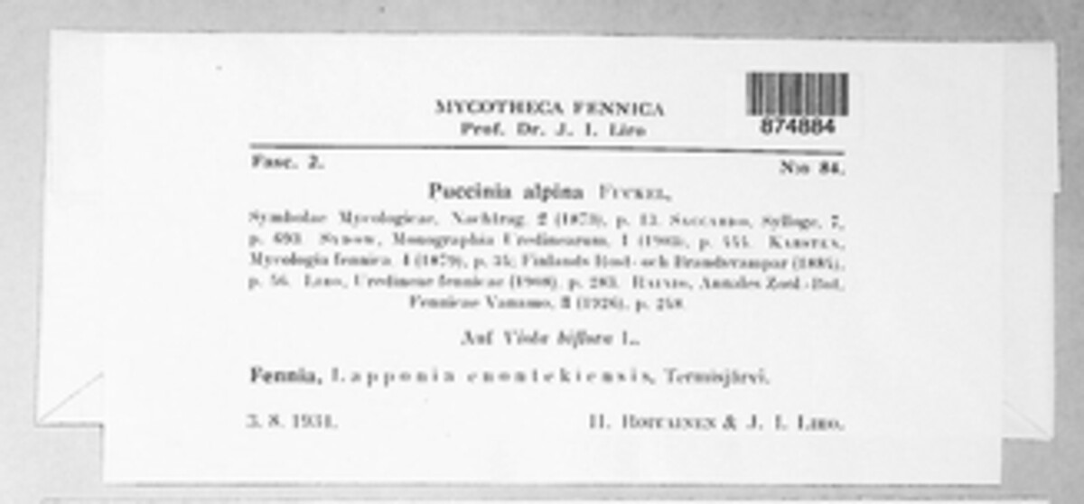 Puccinia alpina image